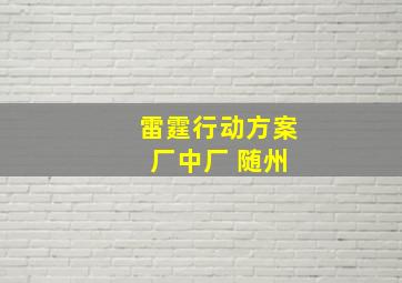 雷霆行动方案 厂中厂 随州